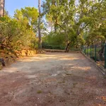 Rez De Jardin Dans *