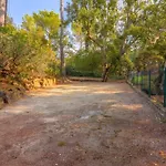 Rez De Jardin Dans *