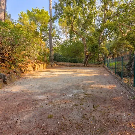 Rez De Jardin Dans *